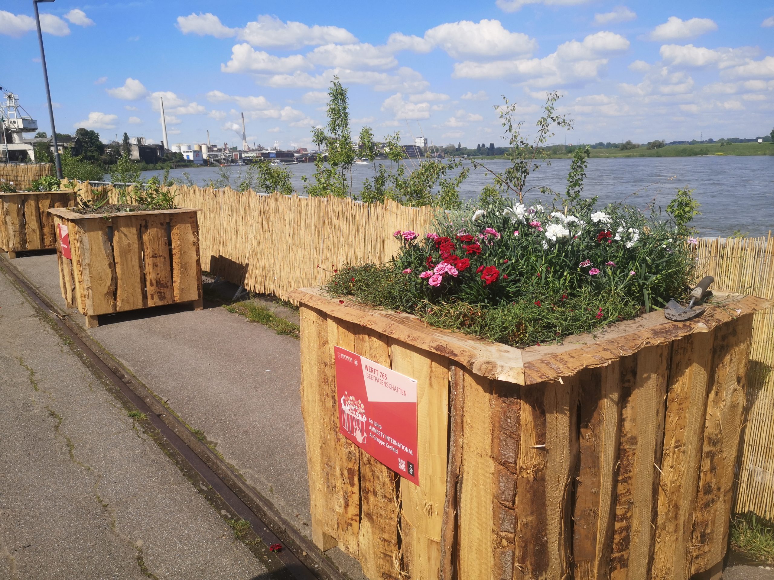 Blumenbeet an der #Rhine-Side in Krefeld-Uerdingen